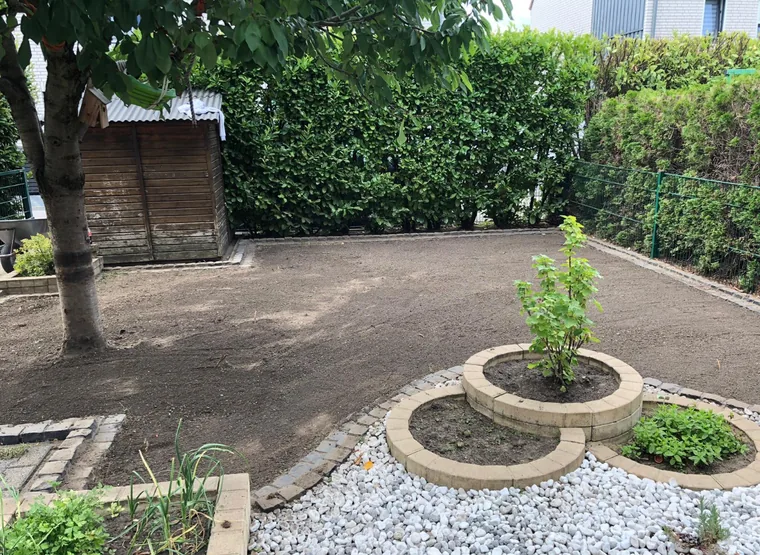 Baumscheibe mit gepflasterter Einfassung im Garten