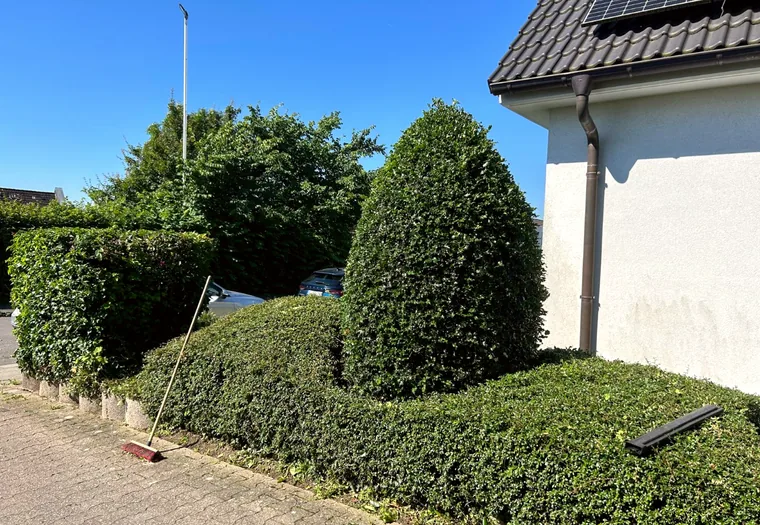 Sauber in Form geschnittene Hecken und Sträucher vor einem Haus