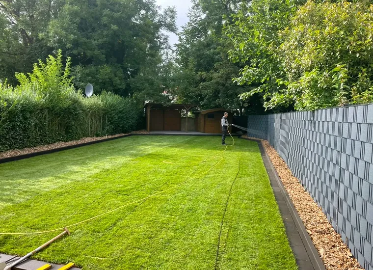 Frisch verlegter Rollrasen im eingefassten Garten