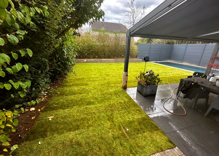 Frisch verlegter Rollrasen mit Terrasse, Pergola und Pool